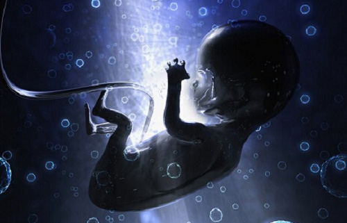 2021試管嬰兒免費治療補貼是真的嗎？一看便知